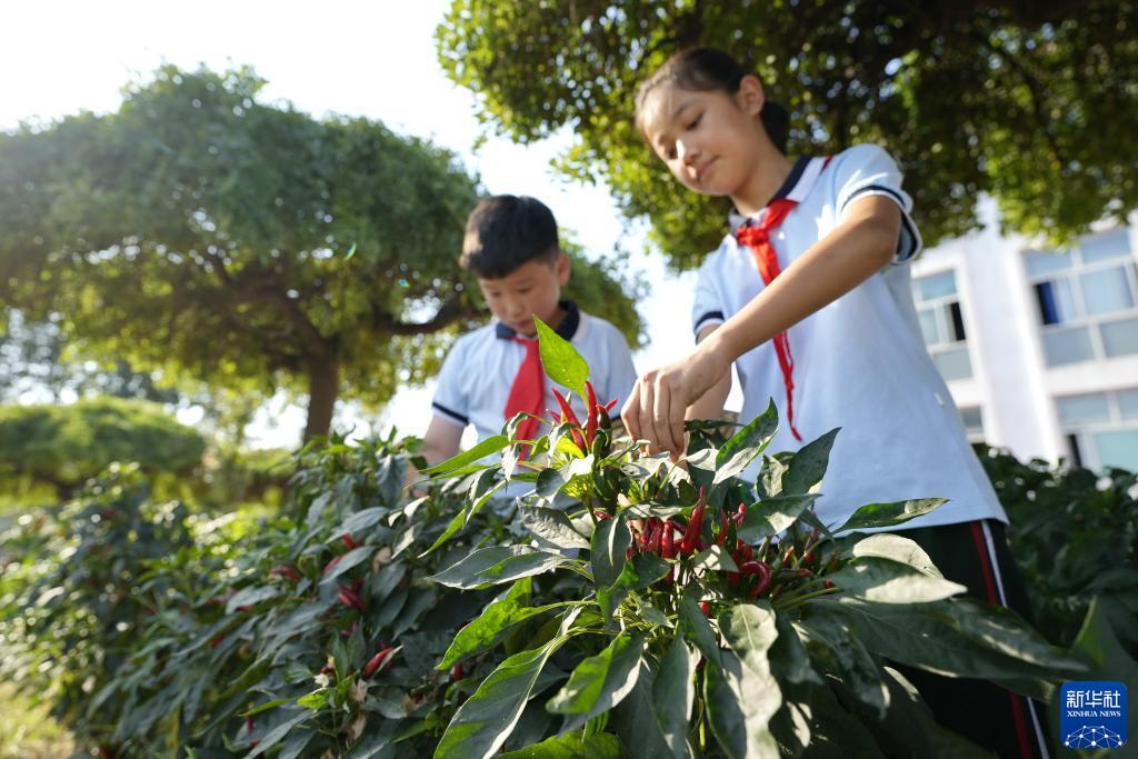 李逵捕鱼外挂